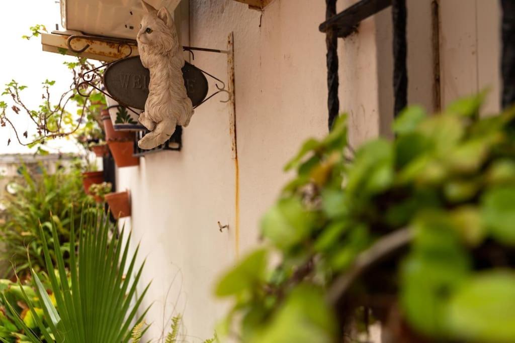El Patio De La Vina By Gades Gestion Apartment Cadiz Exterior photo